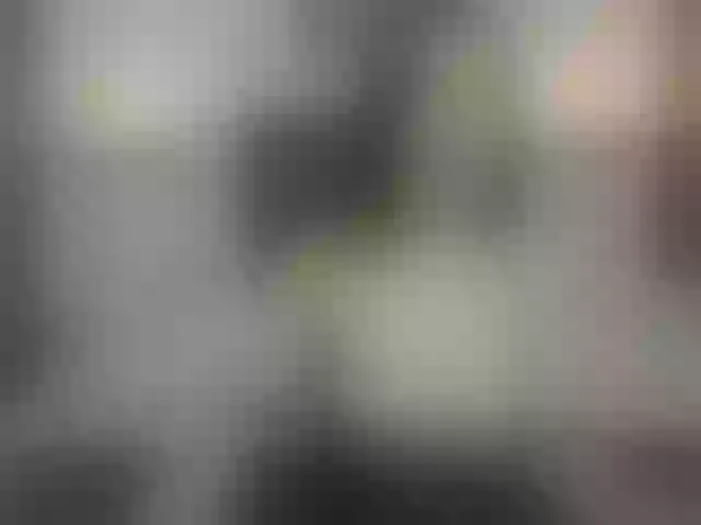 Live sex webcam photo for Valery-spence #274524889