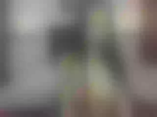 Live sex webcam photo for Valery-spence #274546307