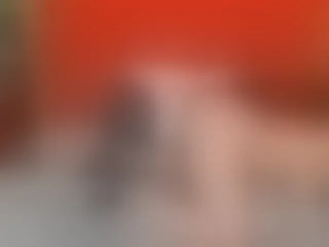 Live sex webcam photo for VallerieJones #293787588
