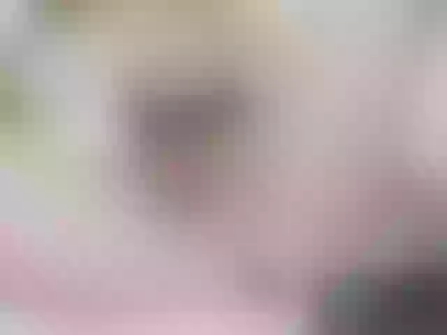 Live sex webcam photo for Vanessa17 #291361346