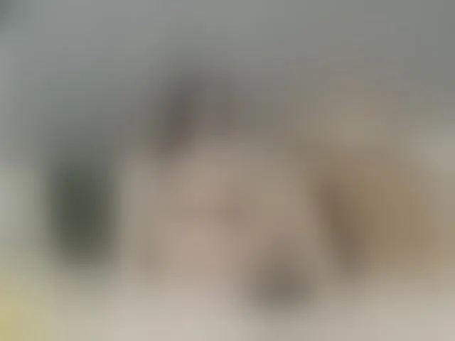Live sex webcam photo for VanessaSweet #277341848