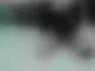 Live sex webcam photo for VanessaTinsda #195007860