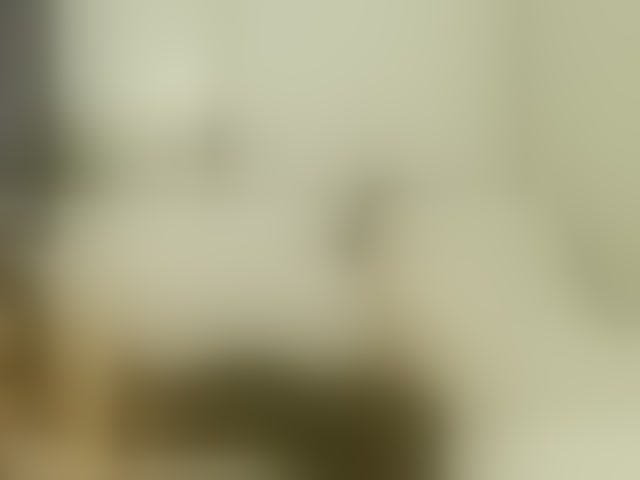 Live sex webcam photo for Vanila06 #293919887