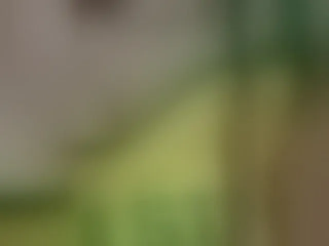 Live sex webcam photo for Vanilinika #292678907