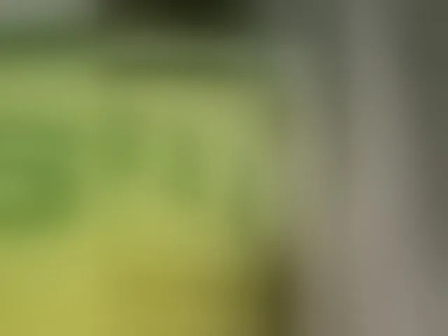 Live sex webcam photo for Vanilinika #293686790