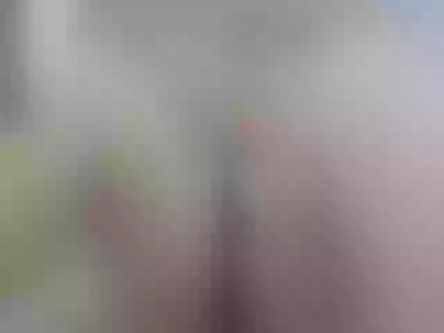 Live sex webcam photo for VanneBrooks #273111822