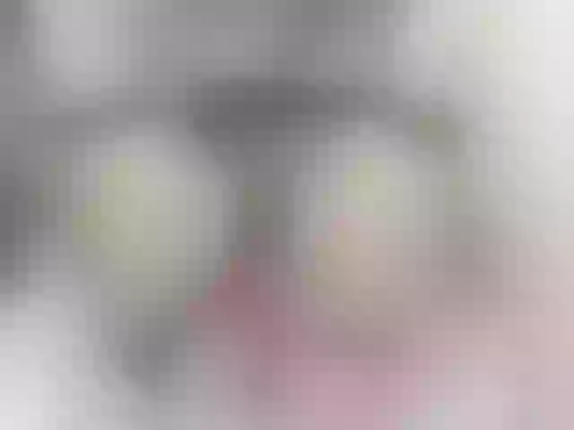 Live sex webcam photo for VanneBrooks #276026366