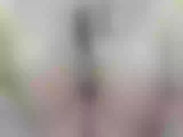 Live sex webcam photo for VanneBrooks #277598606