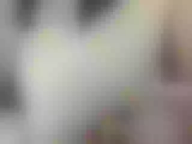 Live sex webcam photo for VanneBrooks #291025186