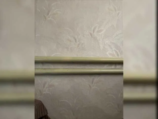 Live sex webcam photo for Vanxom #276130467