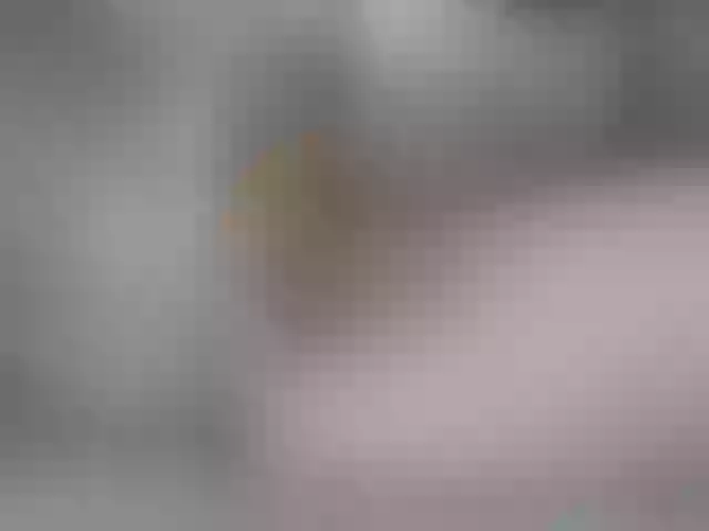 Live sex webcam photo for Vanxom #276369335