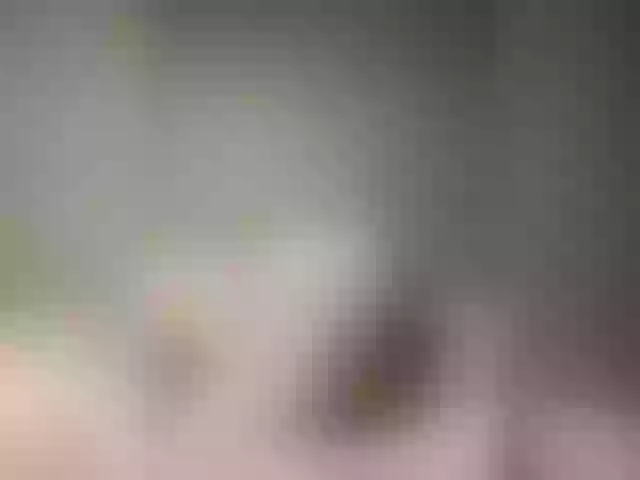 Live sex webcam photo for Vanxom #277300068