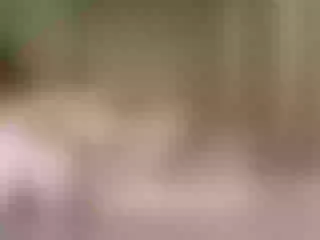 Live sex webcam photo for Vanxom #278185667