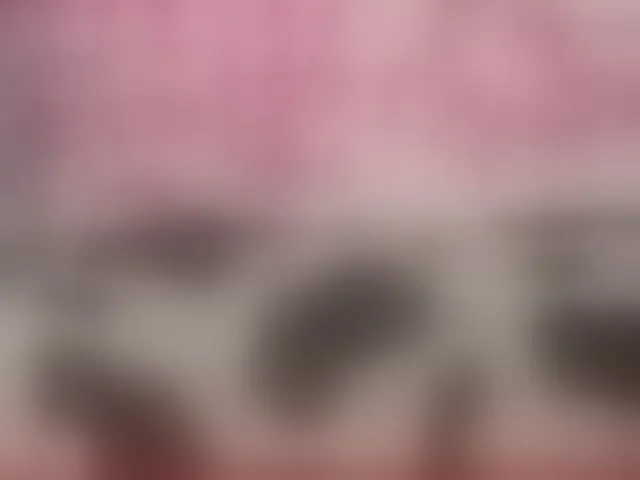 Live sex webcam photo for VasyaSylvia1 #293022824