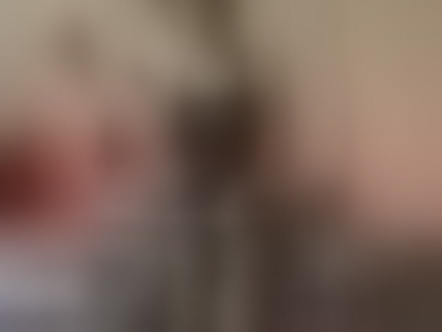 Live sex webcam photo for VelvetNightt #294182759