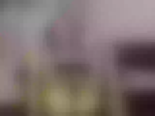 Live sex webcam photo for VelvetSky #290434422