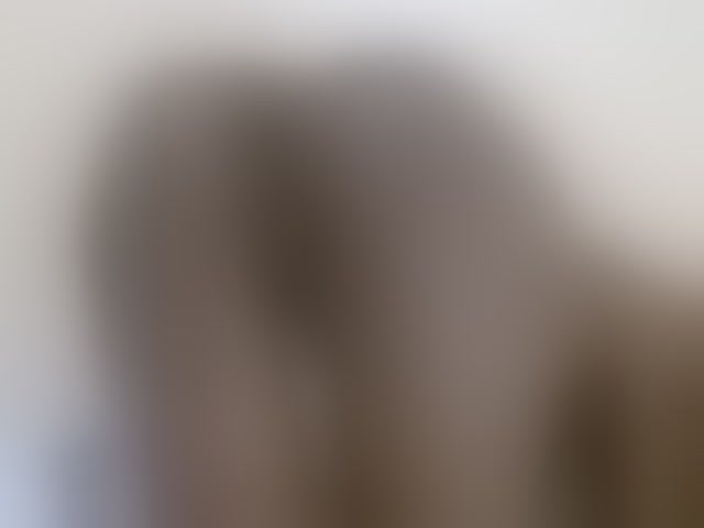 Live sex webcam photo for Velvetvixen-1 #294056366