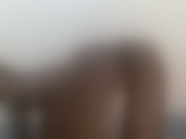 Live sex webcam photo for Velvetvixen-1 #294114493