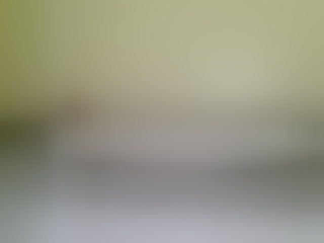 Live sex webcam photo for Velvetvixen-1 #294141525