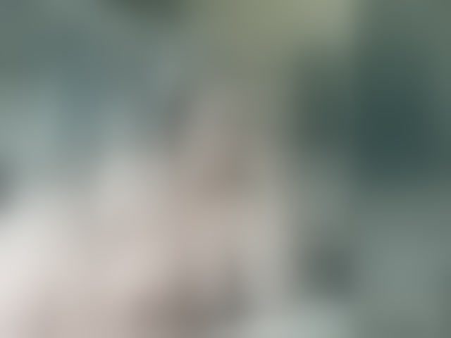 Live sex webcam photo for VeneraNorth #294146575