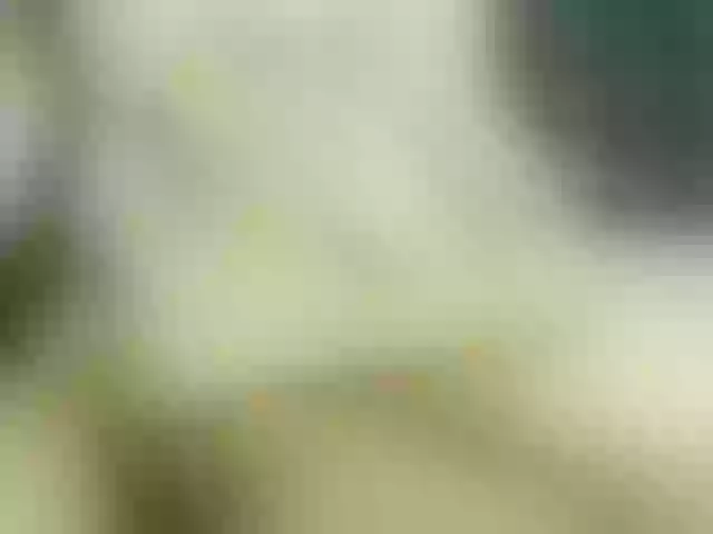 Live sex webcam photo for Venezolana2 #290539281