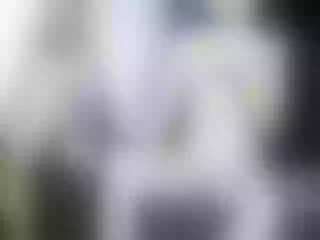Live sex webcam photo for Venezolana2 #291264434