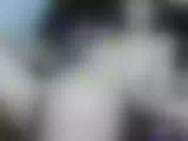 Live sex webcam photo for Venezolana2 #291748902