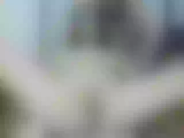 Live sex webcam photo for Venezolana2 #291763349