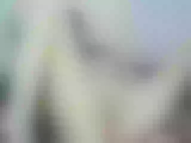 Live sex webcam photo for Venezolana2 #291958801