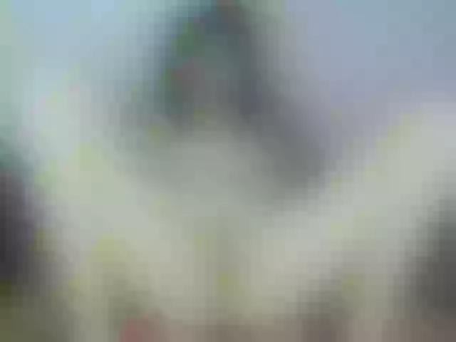 Live sex webcam photo for Venezolana2 #292052823