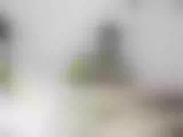Live sex webcam photo for Venezolana2 #292210975