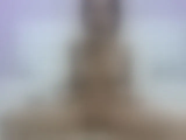 Live sex webcam photo for VenusDaniels #290586071