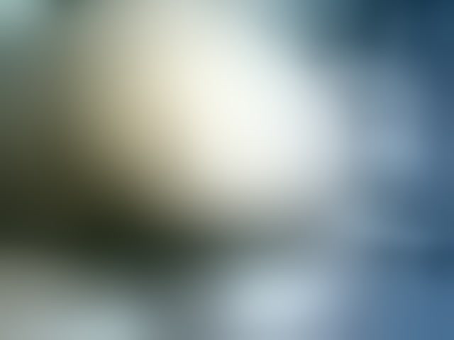 Live sex webcam photo for Veravee #290312205
