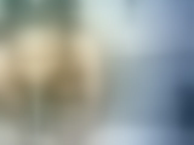 Live sex webcam photo for Veravee #290625135