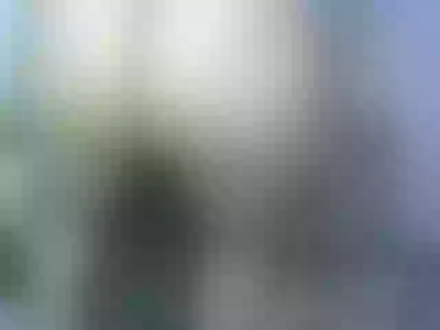 Live sex webcam photo for Veravee #291195438