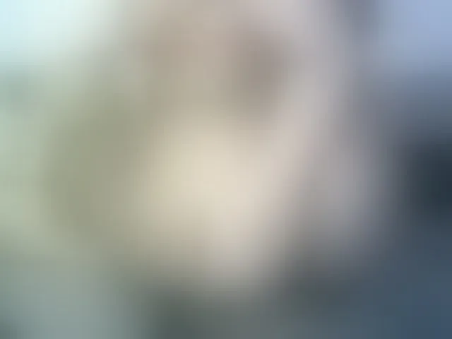 Live sex webcam photo for Veravee #292296410