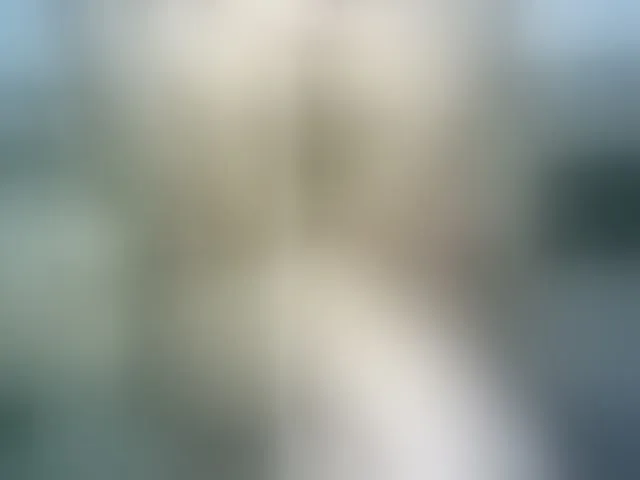 Live sex webcam photo for Veravee #292319646