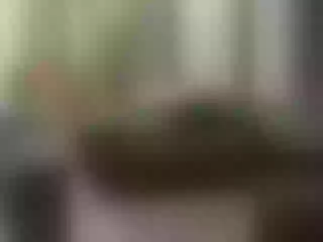 Live sex webcam photo for Vero19nika #291950416
