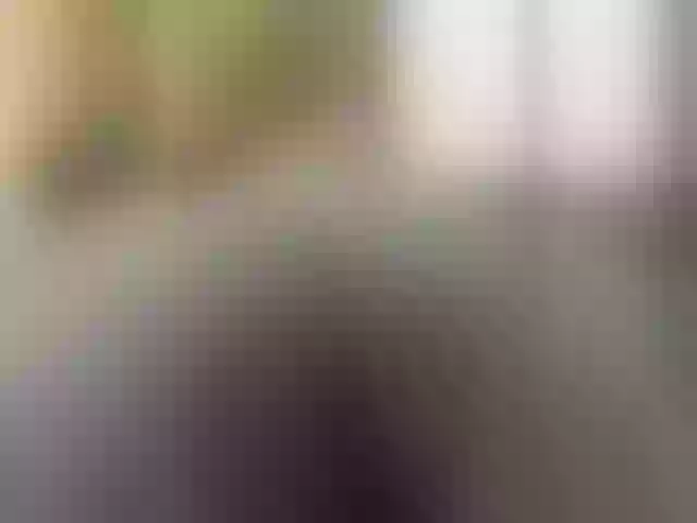 Live sex webcam photo for Vero19nika #291955390