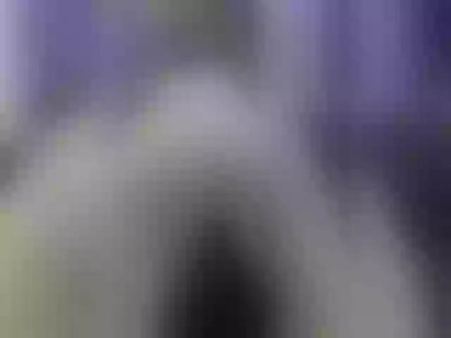Live sex webcam photo for Vero19nika #292036619