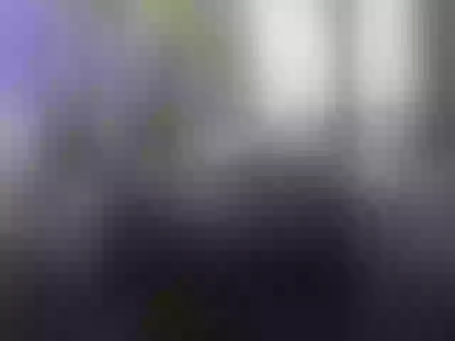 Live sex webcam photo for Vero19nika #292176771
