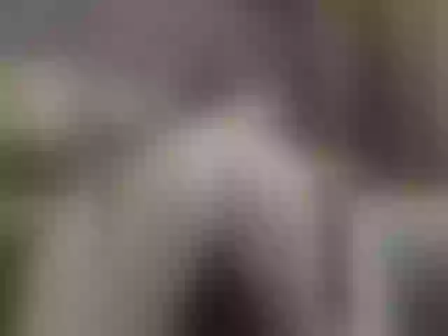 Live sex webcam photo for Vero19nika #292261985