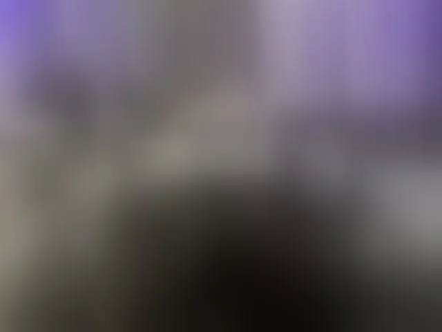 Live sex webcam photo for Vero19nika #292378816