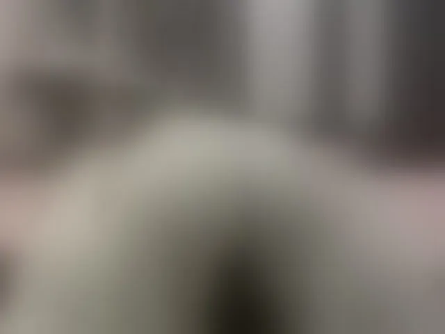 Live sex webcam photo for Vero19nika #292535019