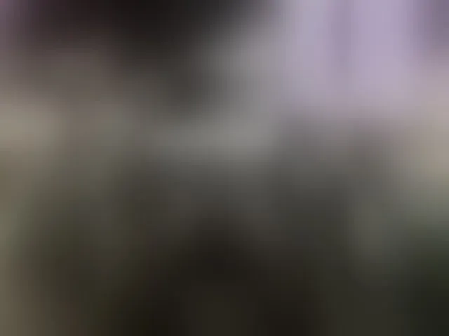 Live sex webcam photo for Vero19nika #292674473