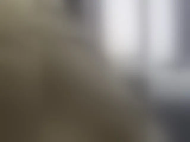 Live sex webcam photo for Vero19nika #293208098