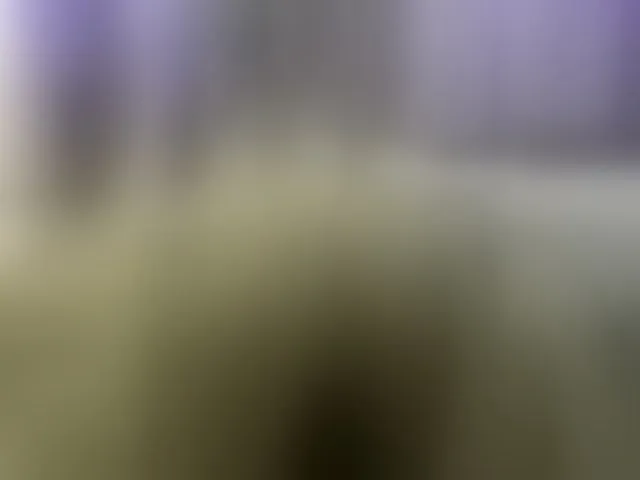 Live sex webcam photo for Vero19nika #293284724