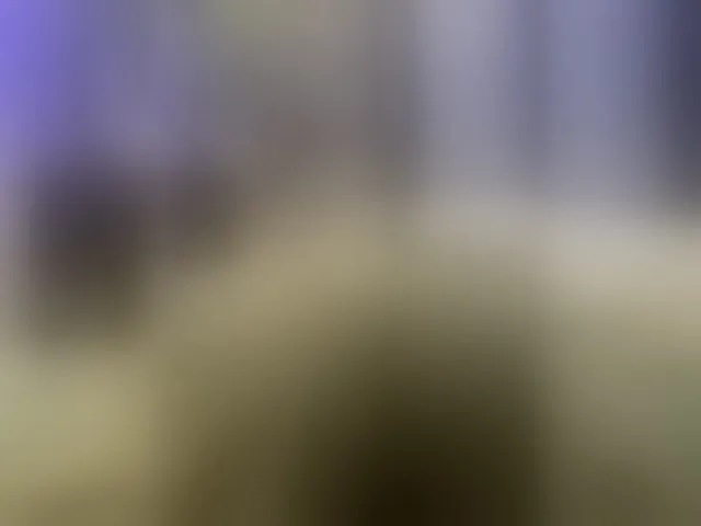 Live sex webcam photo for Vero19nika #293682341