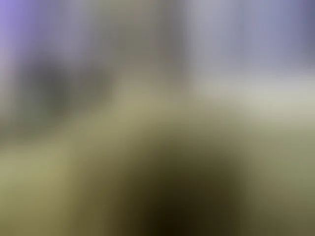 Live sex webcam photo for Vero19nika #293693584