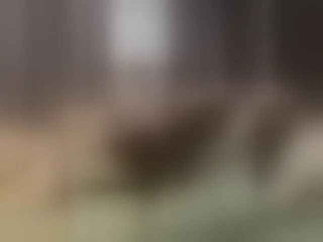 Live sex webcam photo for Vero19nika #293812529